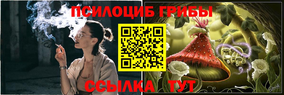 Галлюциногенные грибы Magic Shrooms  Галлюциногенные грибы ЛСД  Электросталь  Вход с VPN 